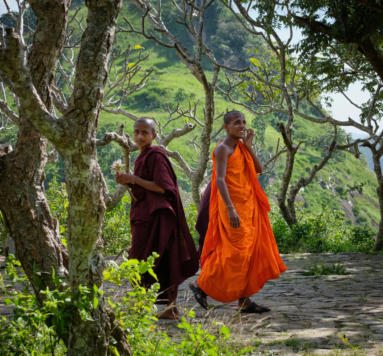 Two young Buddhist monks walking a forest path