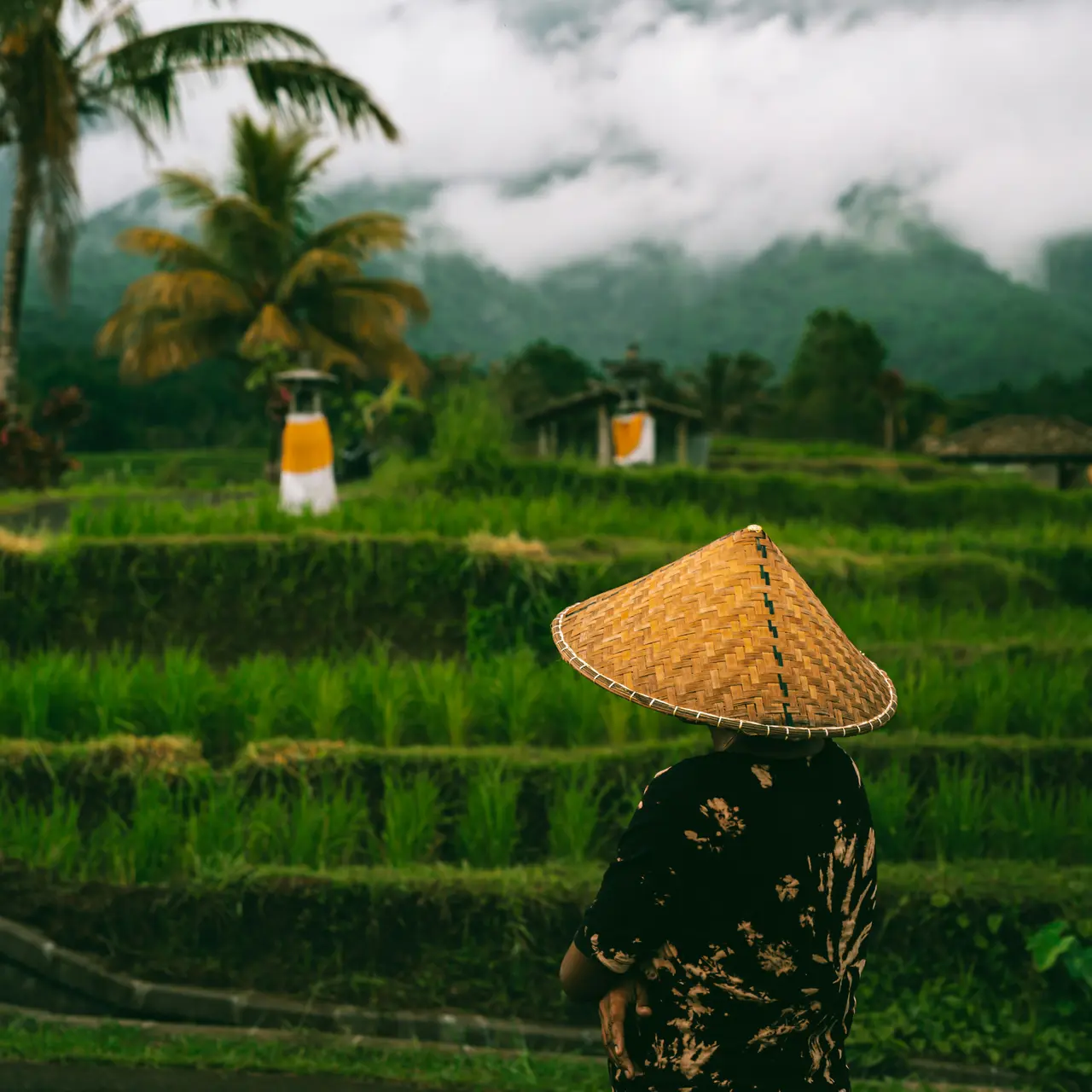 A person looking across green terraced fields beneath cloud-covered mountains